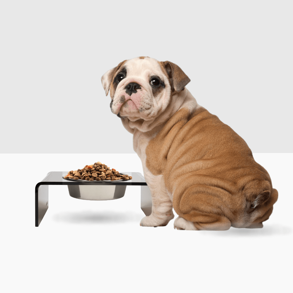 Single Bronze Feeder