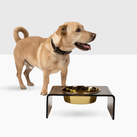 Single Bronze Feeder