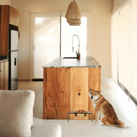 Single Bronze Feeder