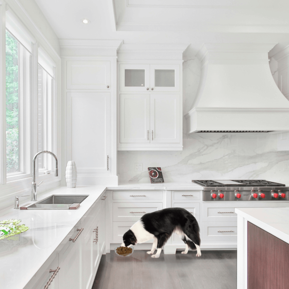 Single Glass Bowl Feeder