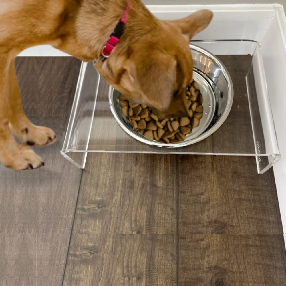 Single Silver Feeder