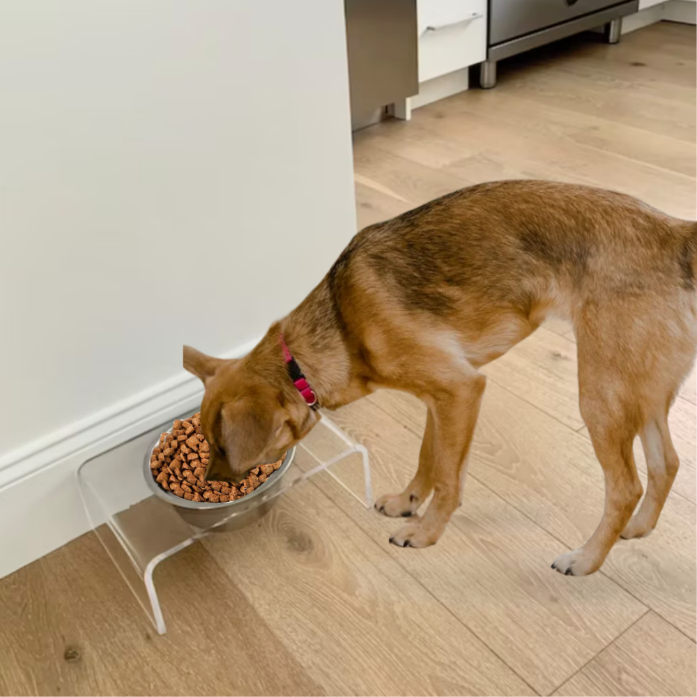 Single Silver Feeder