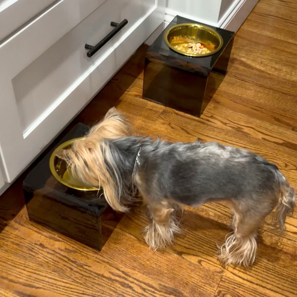 Single Smoke Grey Feeder