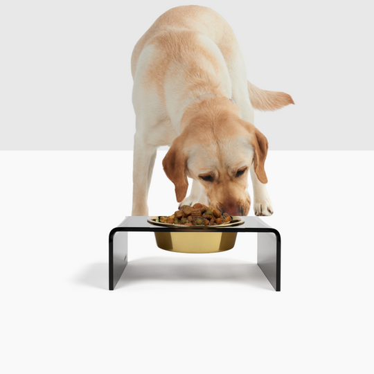 Smoke Grey Single Bowl Pet Feeder | Options