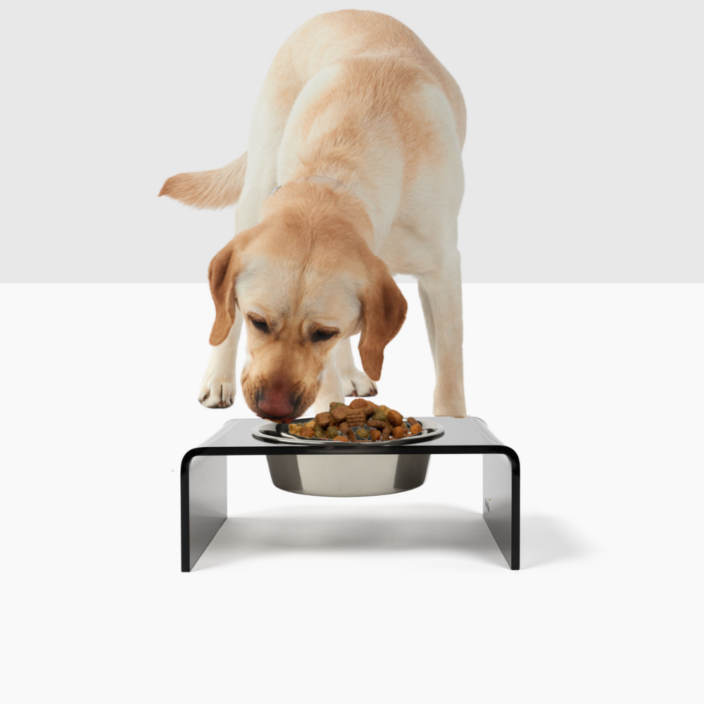 Smoke Grey Single Bowl Pet Feeder | Options