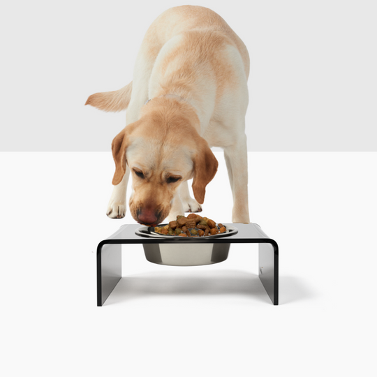 Smoke Grey Single Bowl Pet Feeder | Options