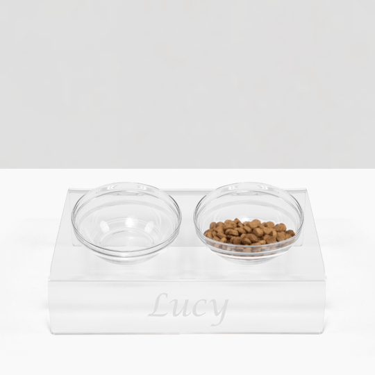 Monogram Slant Glass Bowl Feeder