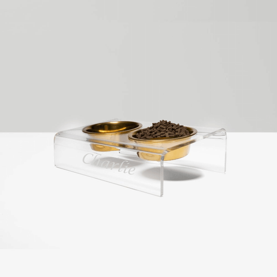 Monogram Slant Gold Feeder