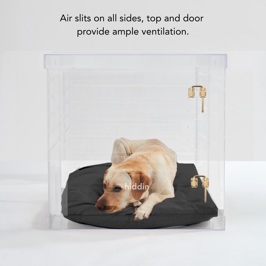 Large Crate (Gold Latch)