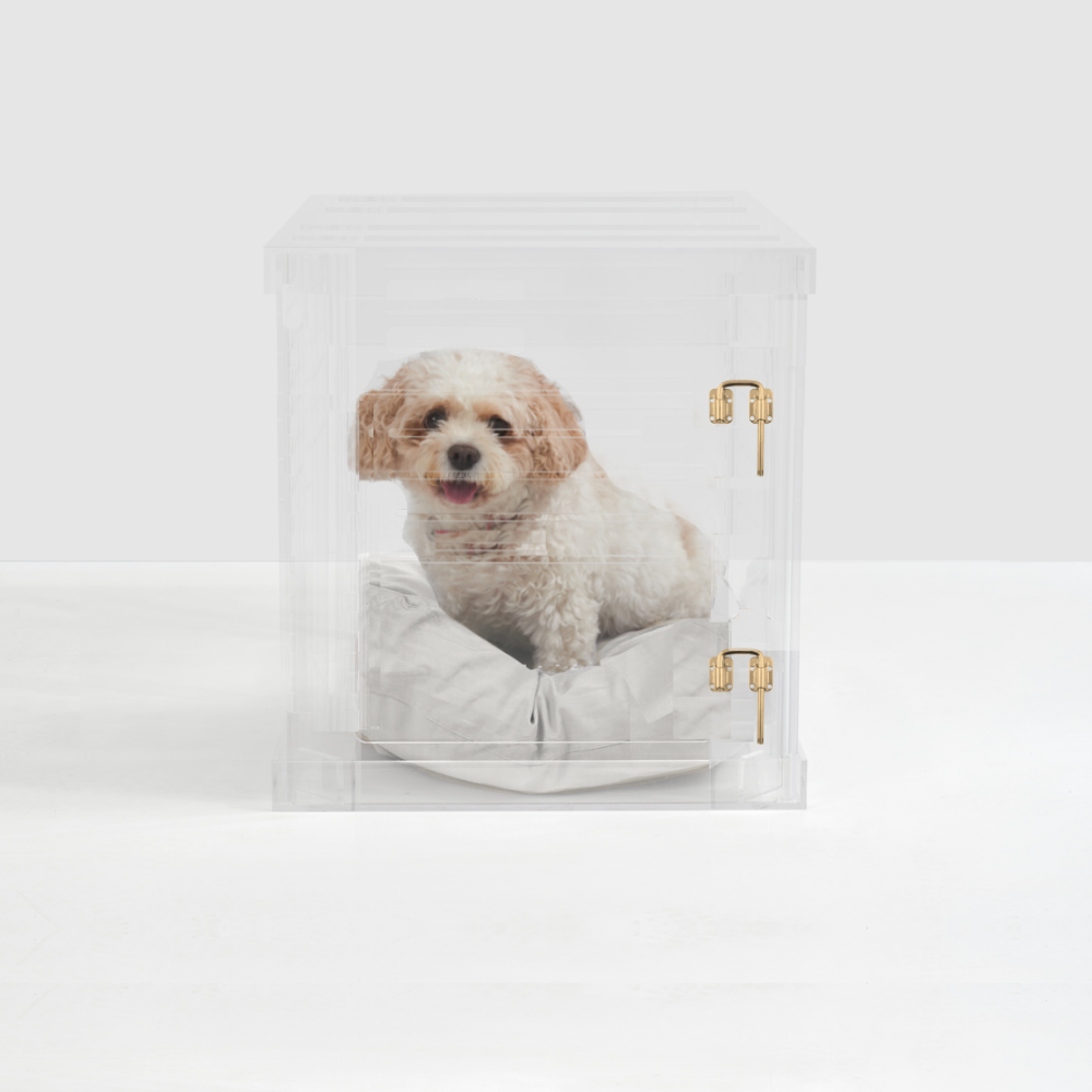 Small Crate (Gold Latch)