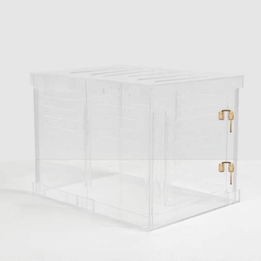 Medium Crate (Gold Latch)