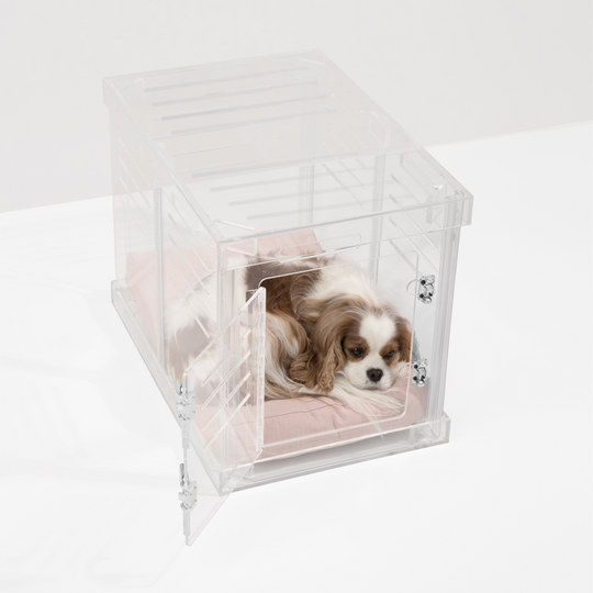 Small Crate (Silver Latch)