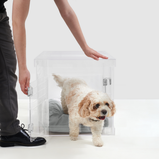 Small Crate (Silver Latch)