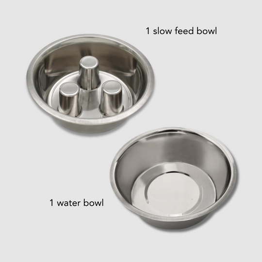 Clear Double Feeder with Slow Feed & Water Bowl | Options