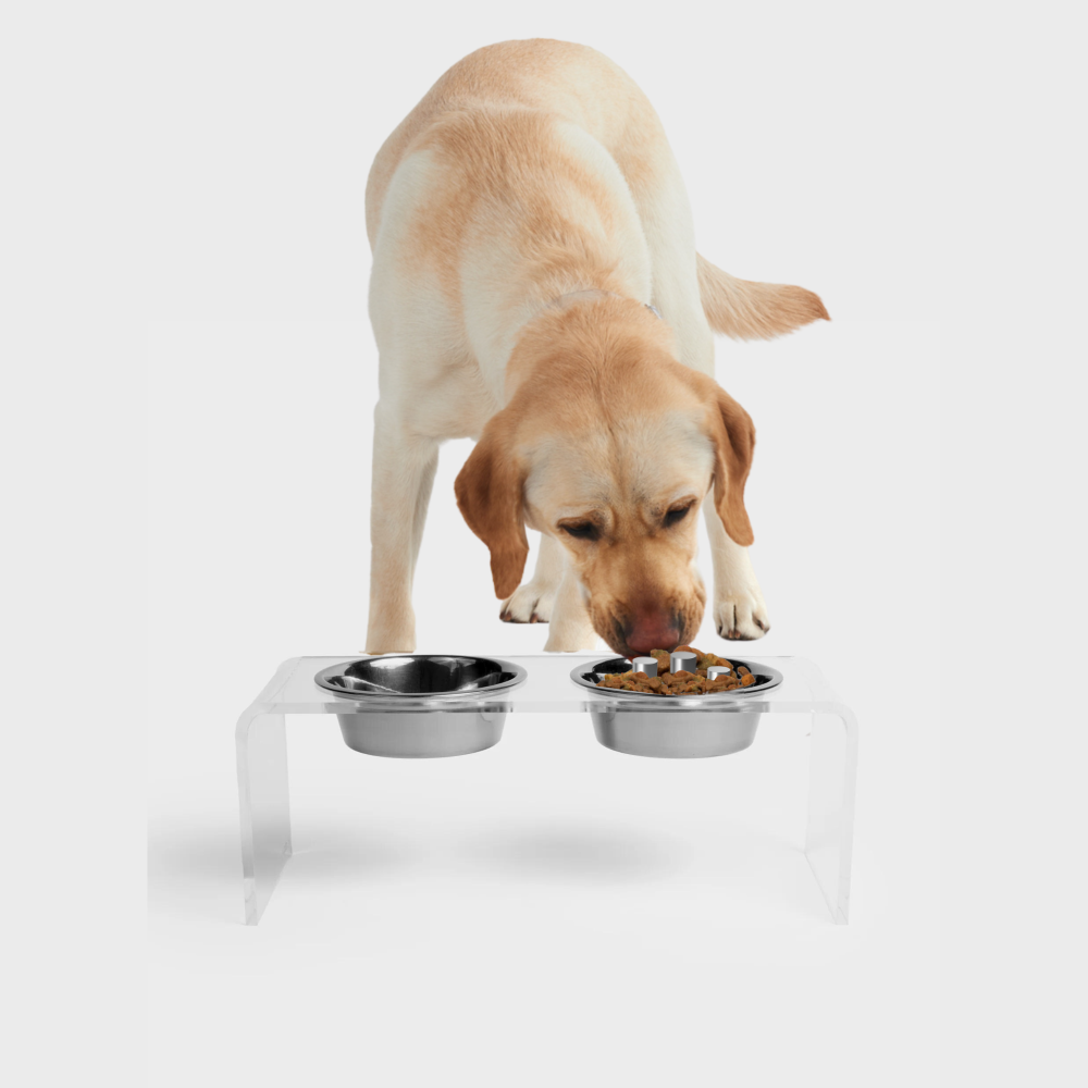 Clear Double Feeder with Slow Feed & Water Bowl | Options