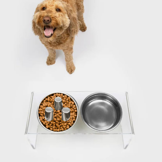 Clear Double Feeder with Slow Feed & Water Bowl | Options