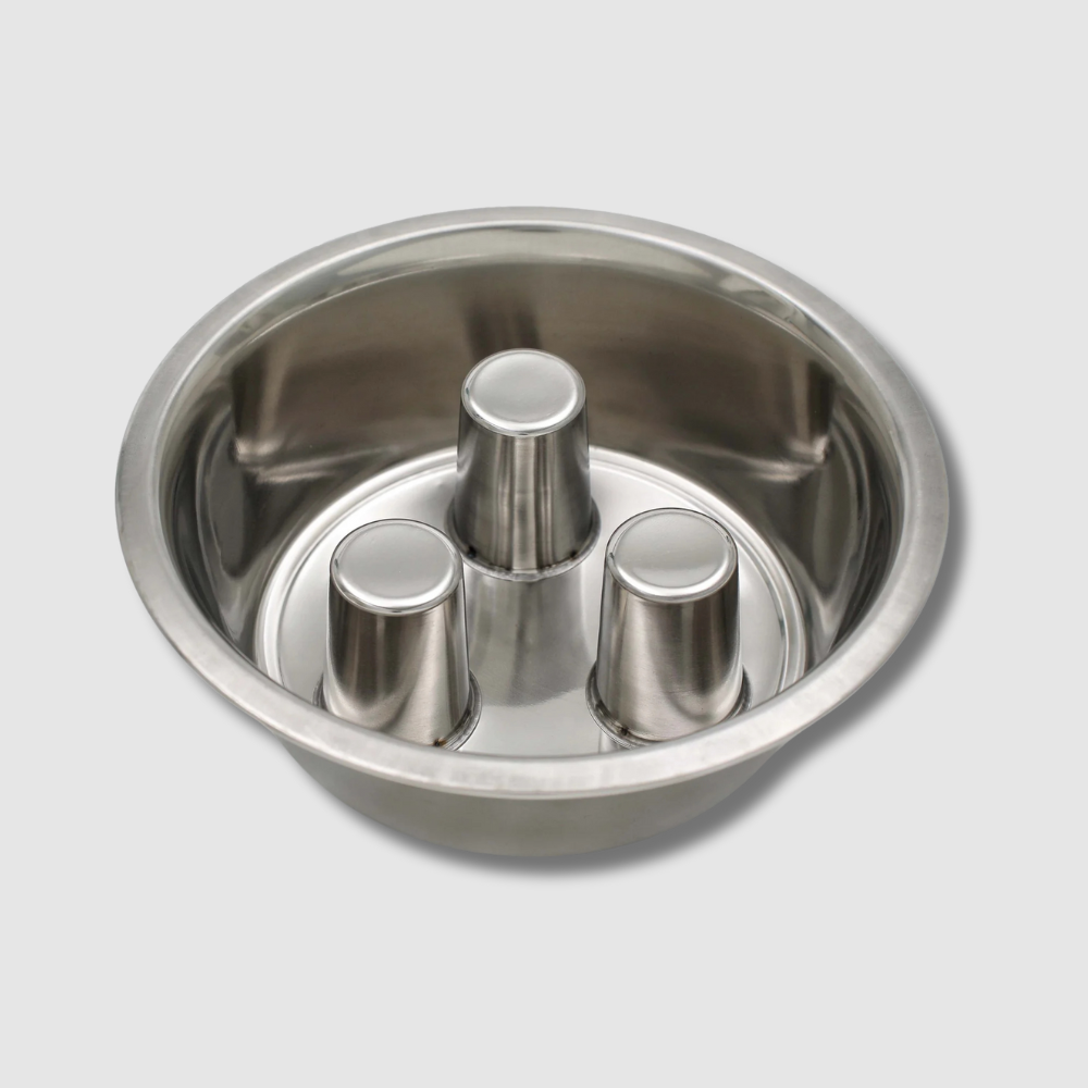 Stainless Slow Feeder & Water Bowl Set | Options