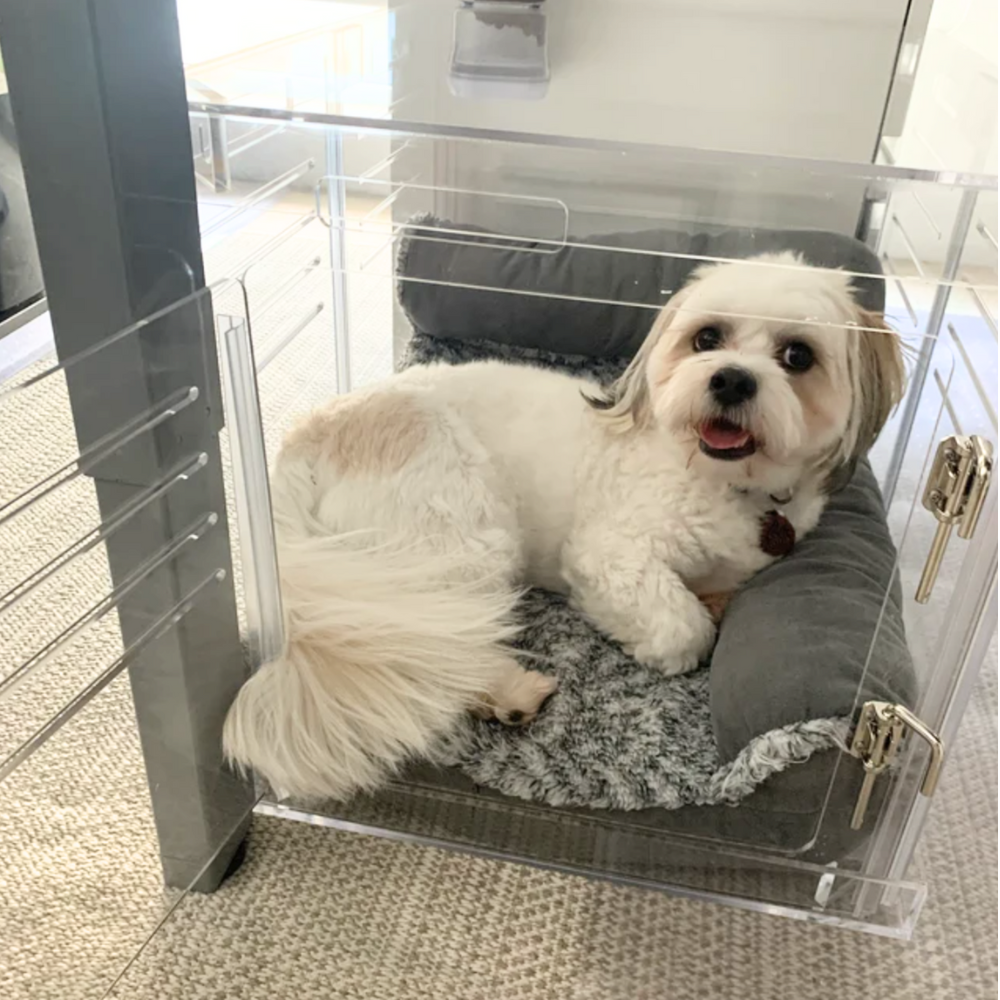 Small Clear Dog Crate to Gate | Silver Latch