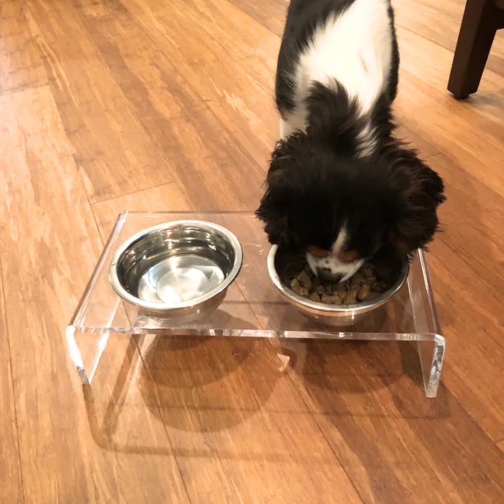 Small Clear Double Pet Bowl Feeder with Silver Bowls | Options