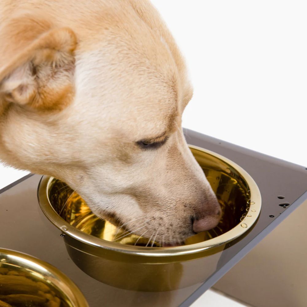 Small Bronze Double Bowl Pet Feeder | Options