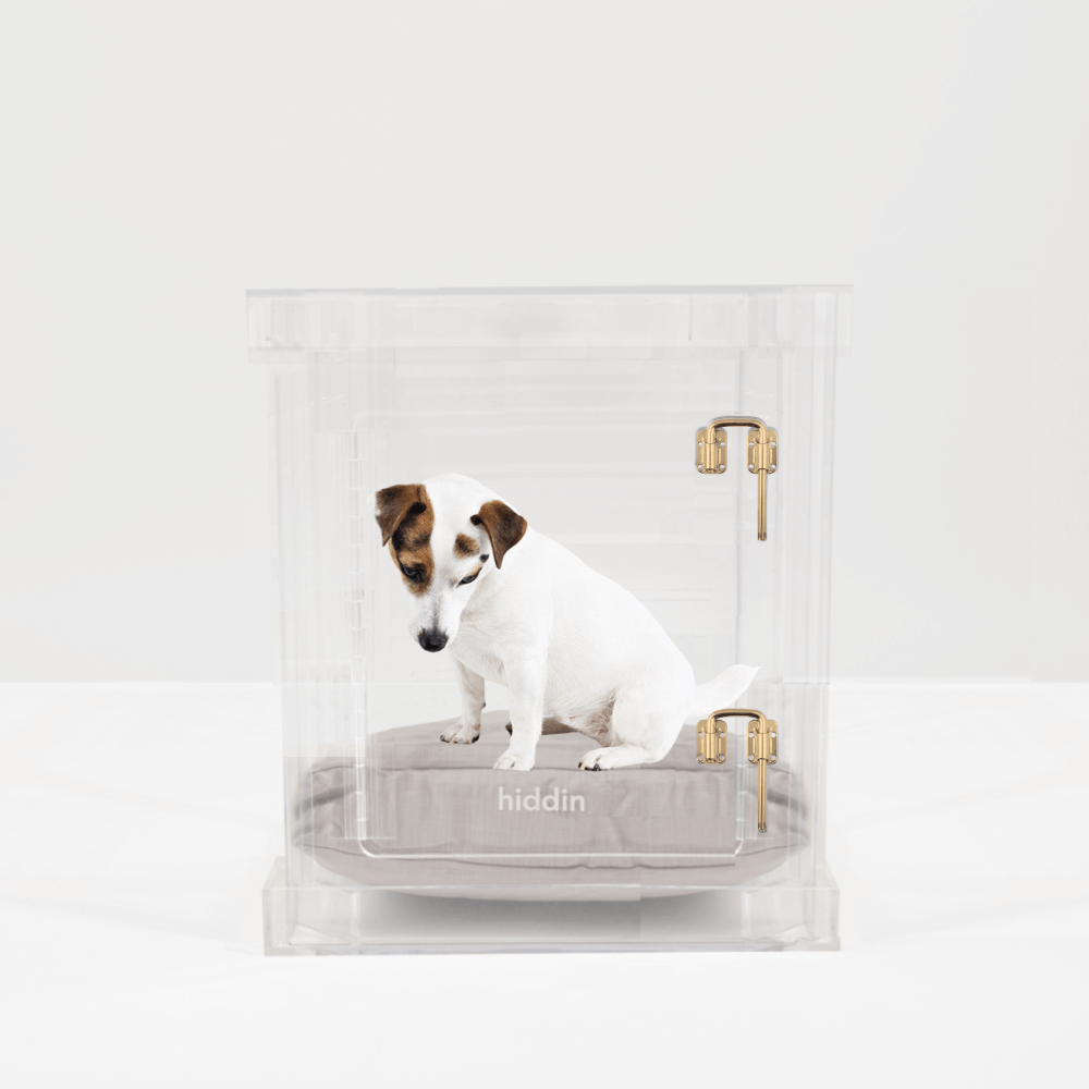Small Crate (Gold Latch)