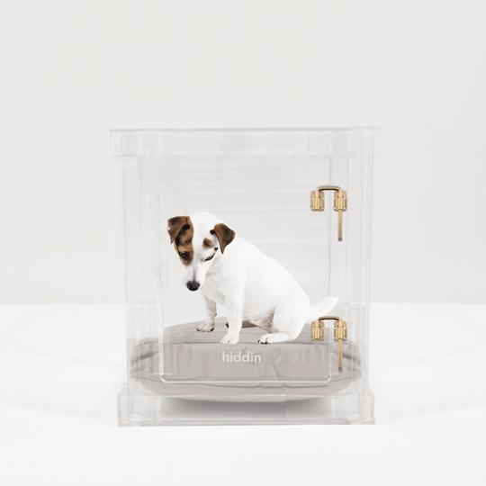 Small Crate (Gold Latch)