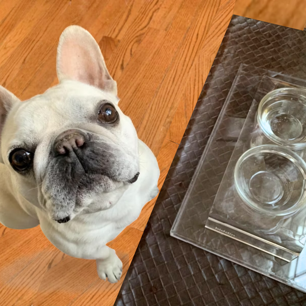 Small Glass Bowl Feeder