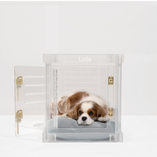 Monogram Small Crate (Gold Latch)