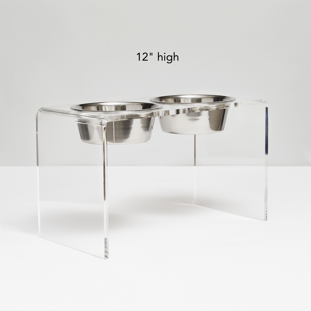 Personalized Double Feeder with Silver Bowls | Options