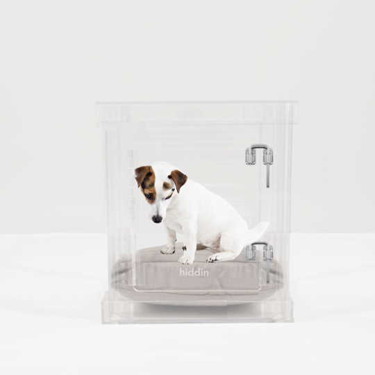 Small Crate (Silver Latch)