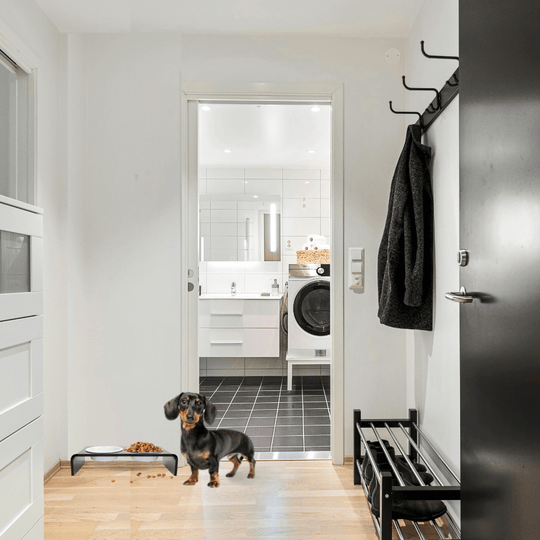 Small Smoke Grey Feeder