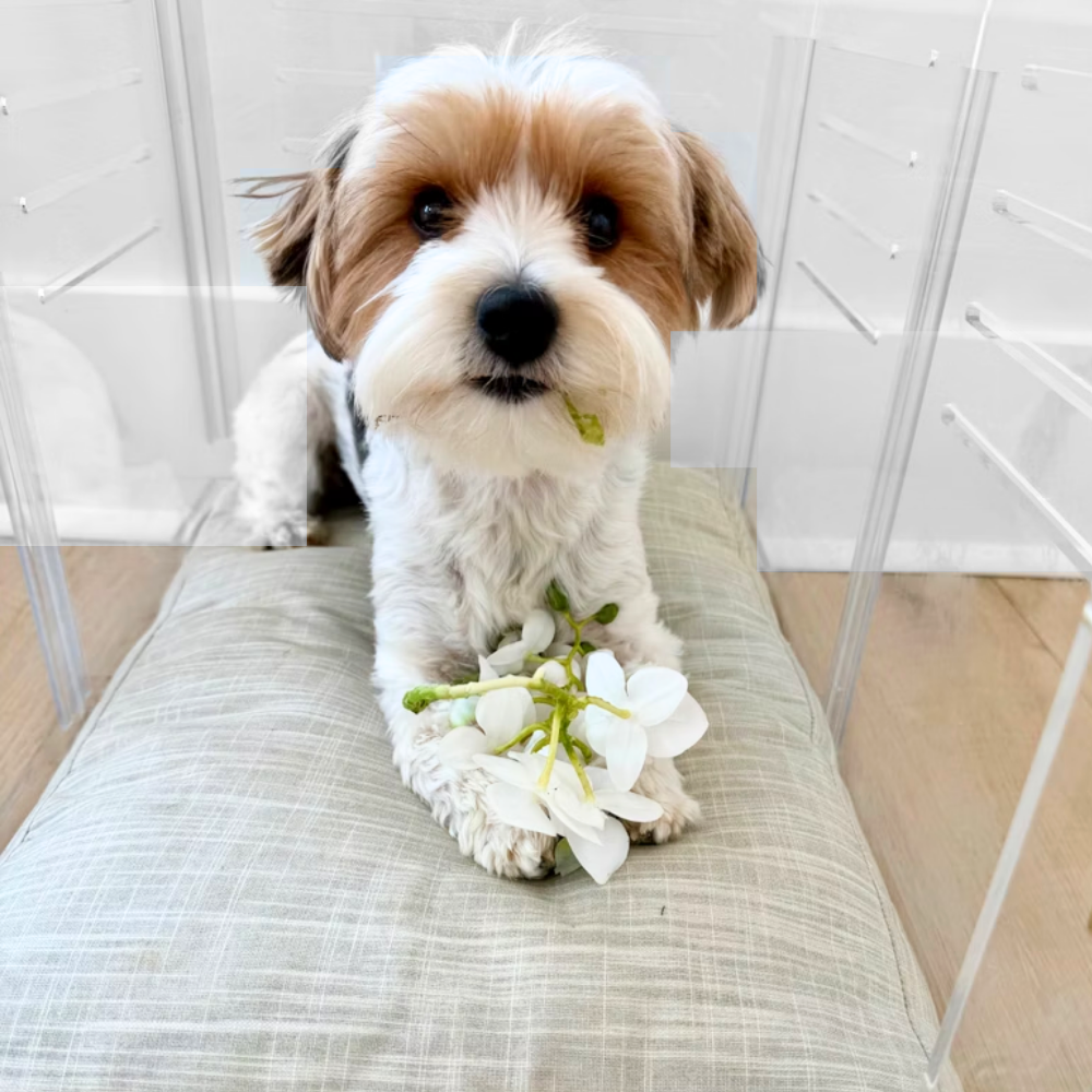 Small Crate (Silver Latch)