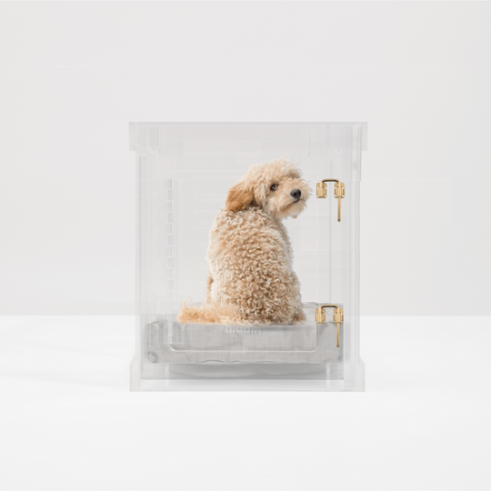 Small Crate (Gold Latch)