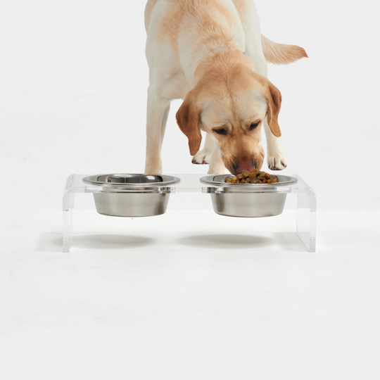 Small Clear Double Pet Bowl Feeder with Silver Bowls | Options