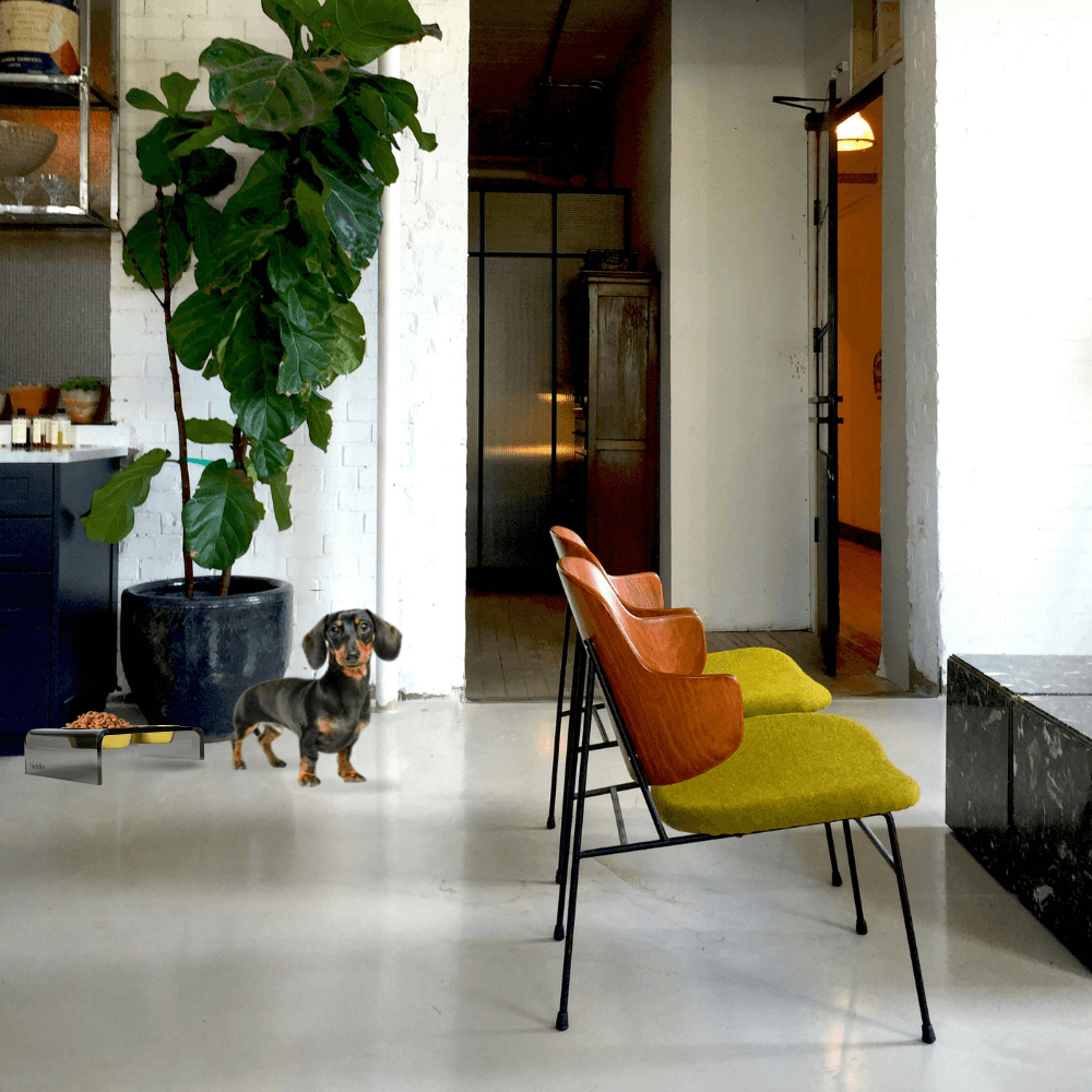 Small Smoke Grey Feeder