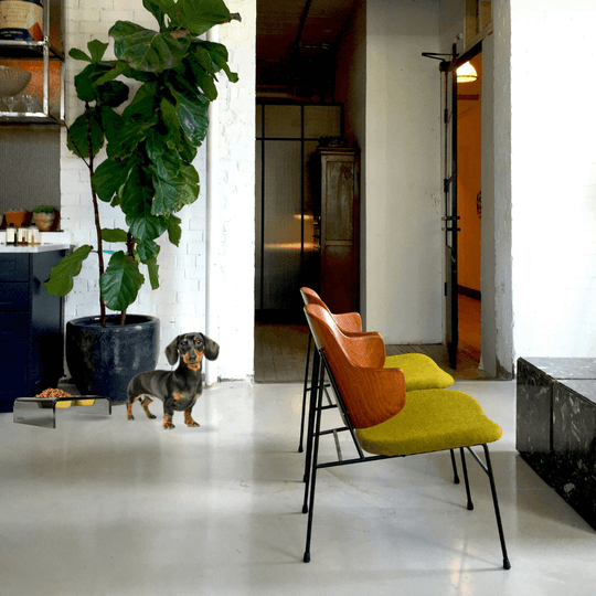 Small Smoke Grey Feeder