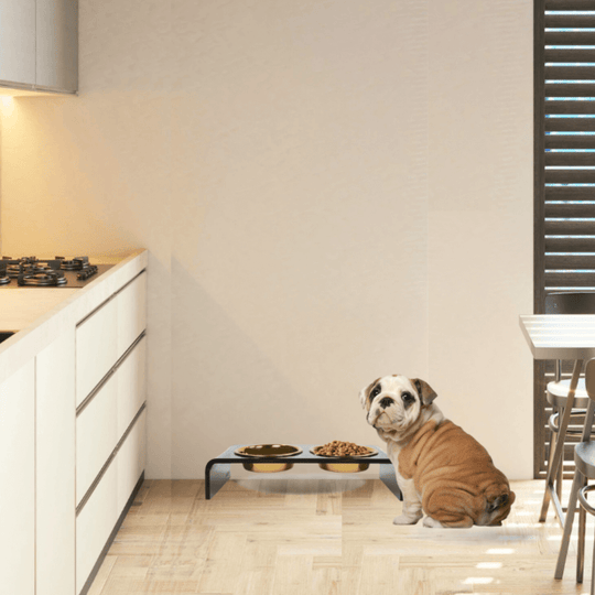 Small Smoke Grey Feeder