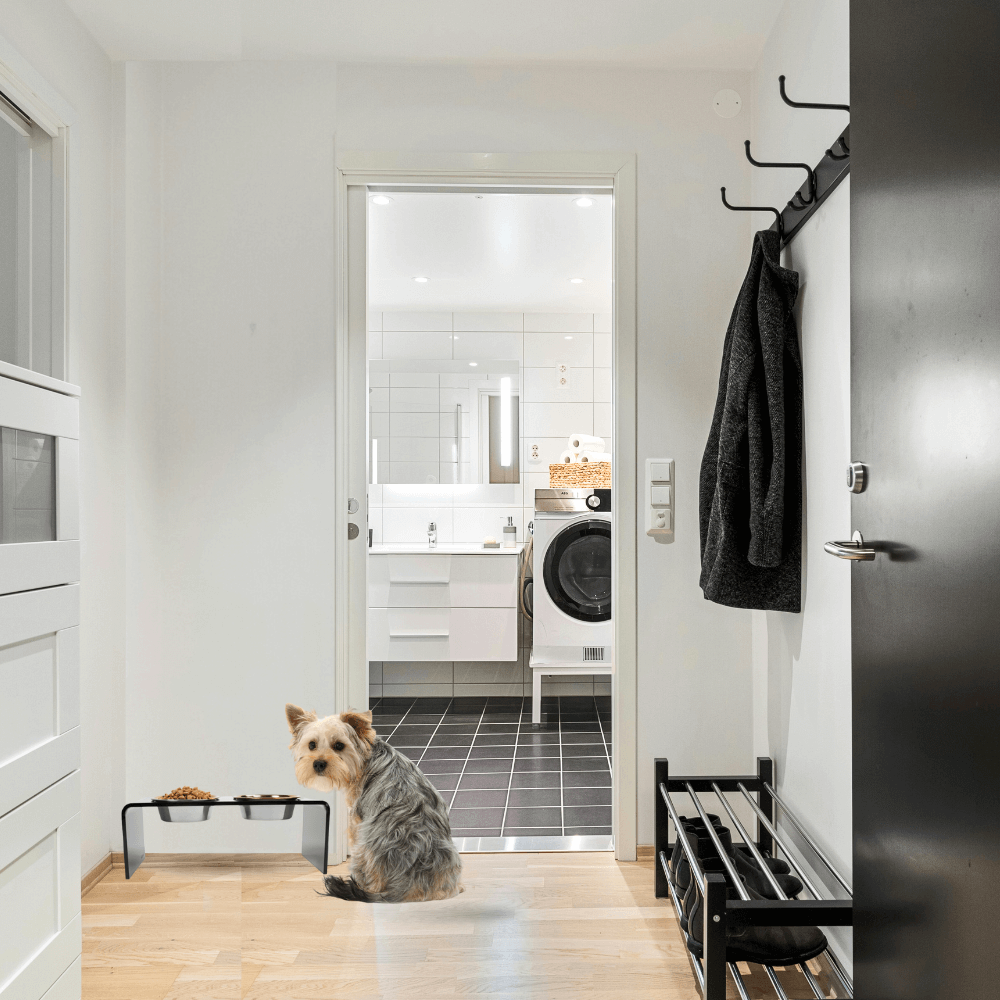 Medium Smoke Grey Feeder