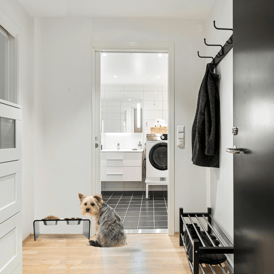 Medium Smoke Grey Feeder