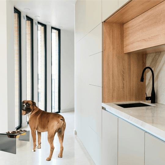 Medium Smoke Grey Feeder