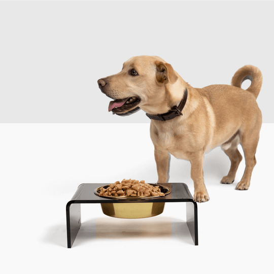 Single Smoke Grey Feeder