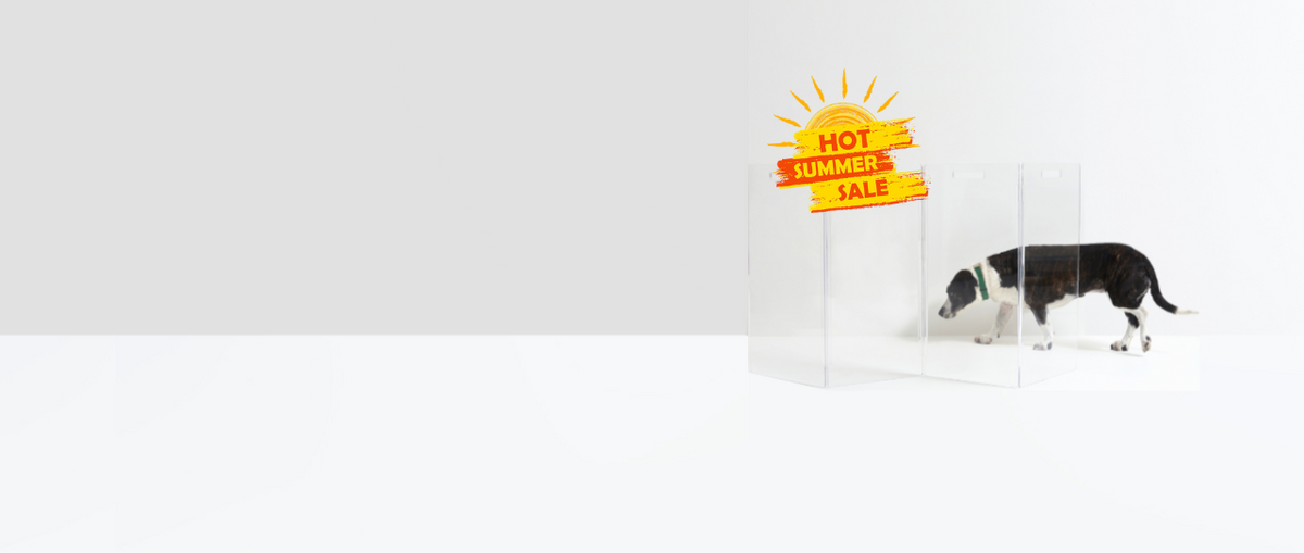 Promotional image