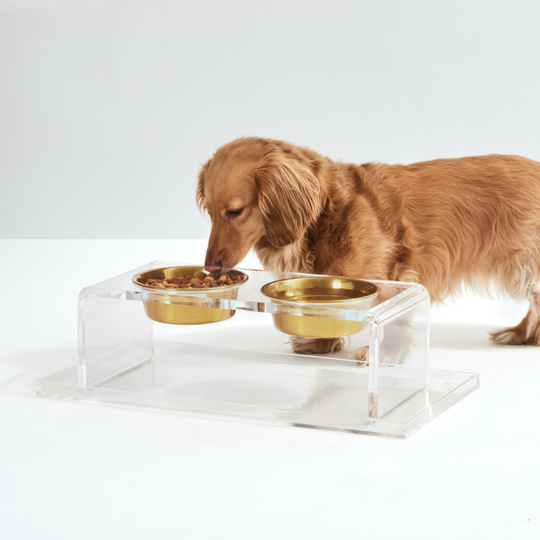 Medium Clear Double Pet Bowl Feeder with Gold Bowls | Options