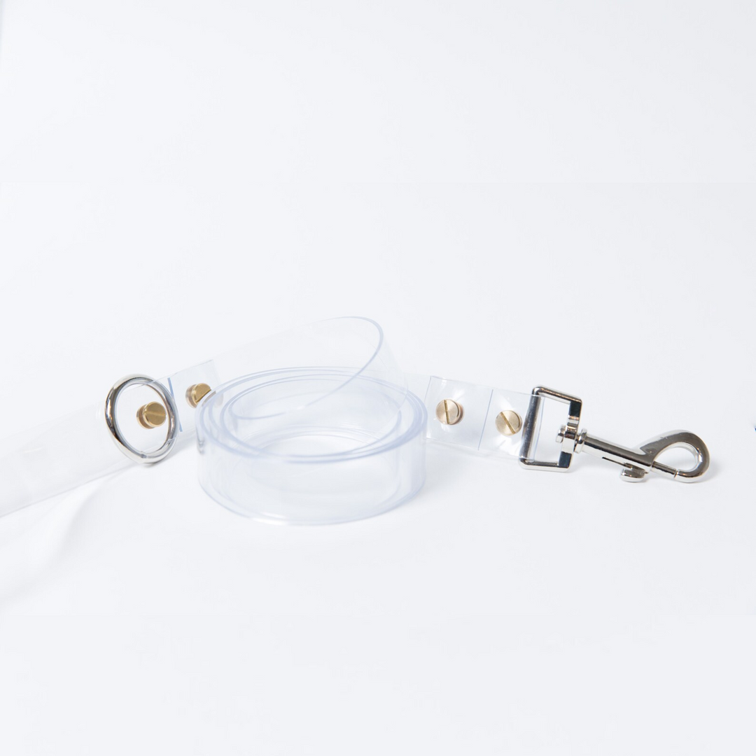 Clear Dog Leash with Metal Accents | Options