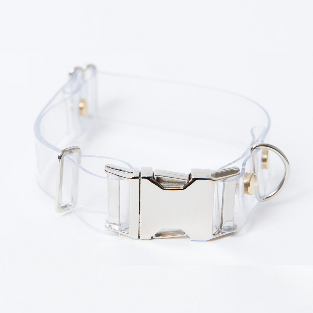 Clear Dog Collar | Options