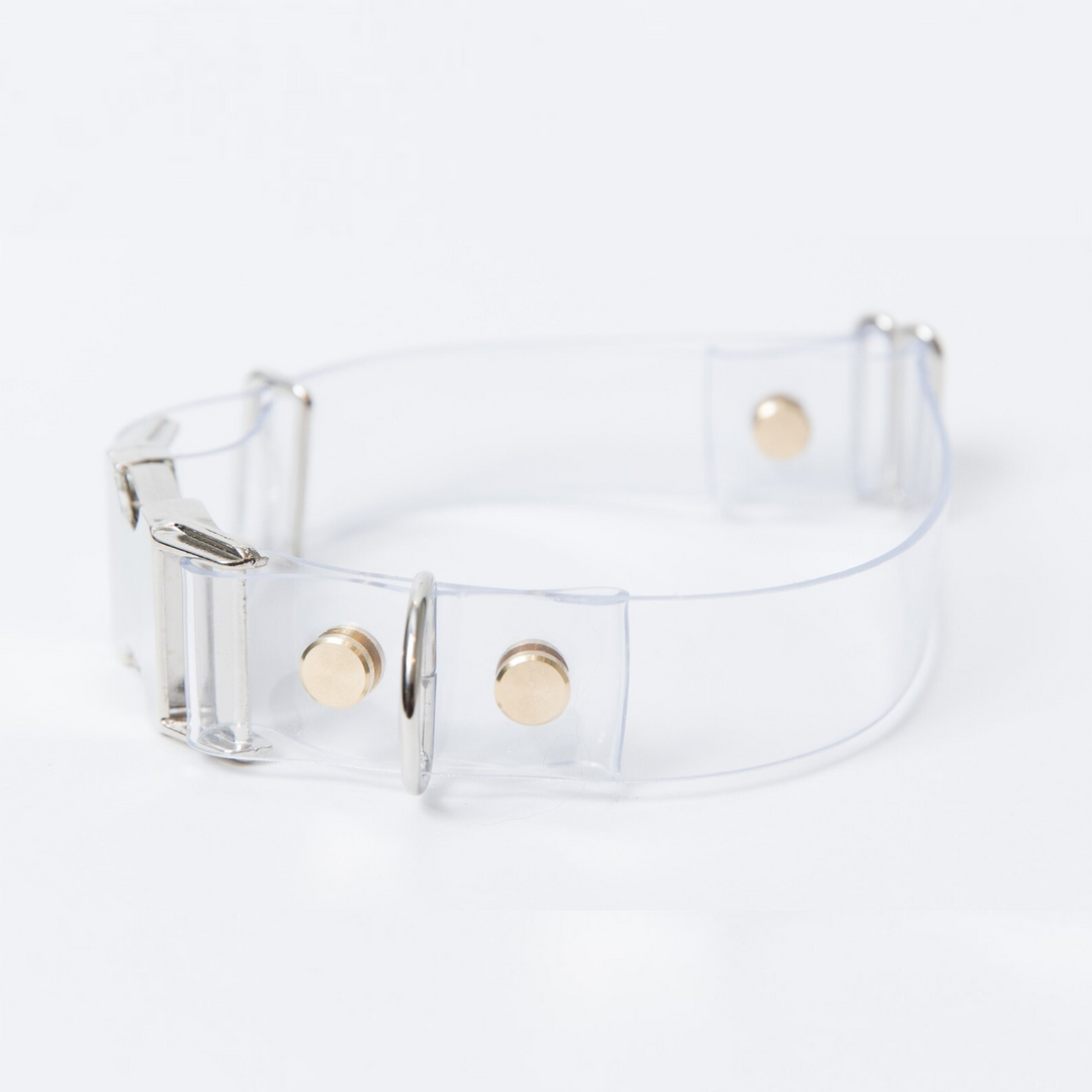 Clear Dog Collar | Options