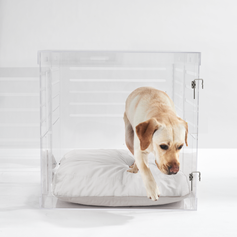 Large Clear Dog Crate to Gate | Silver Latch