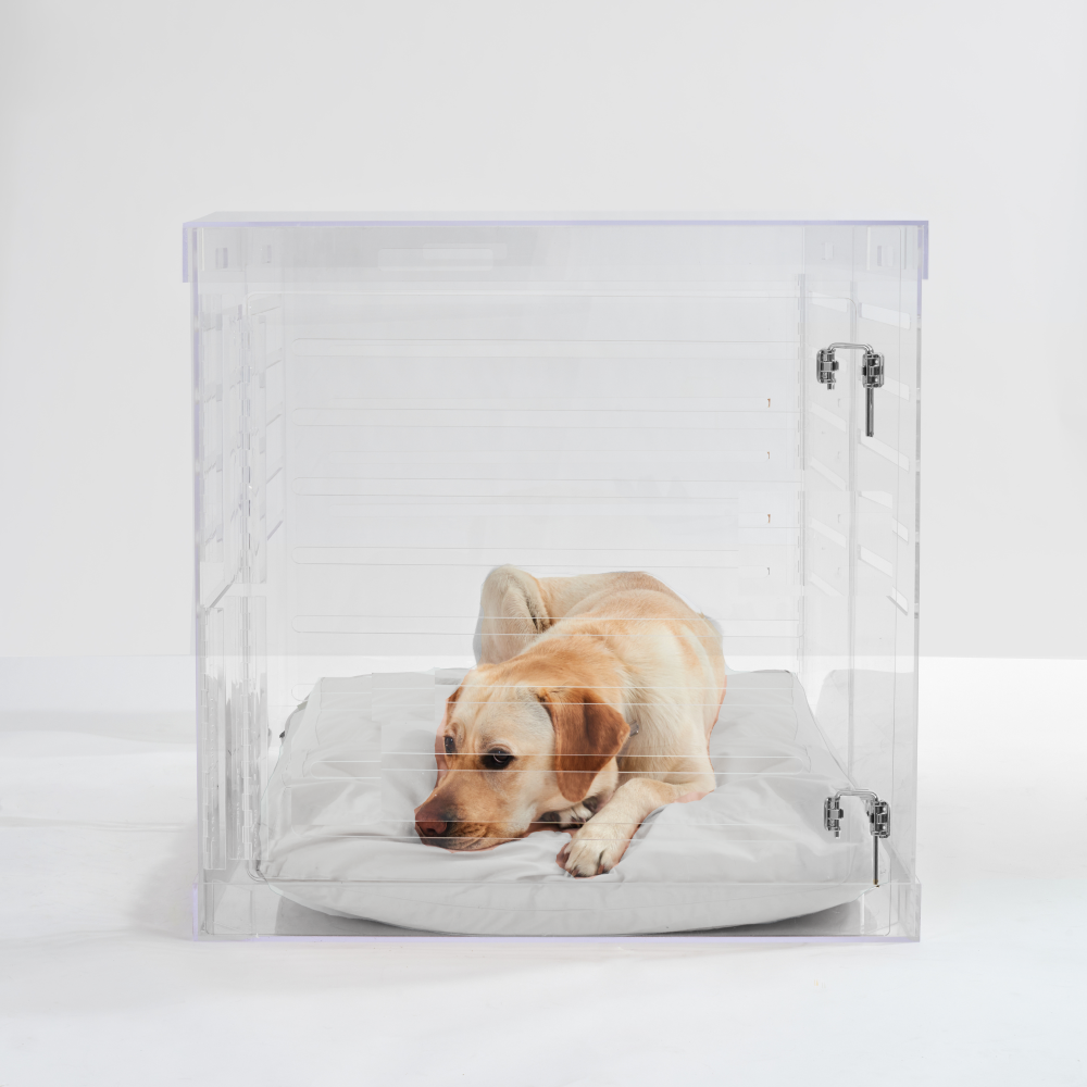 Large Clear Dog Crate to Gate | Silver Latch