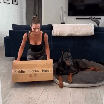 Tall Silver Double Feeder