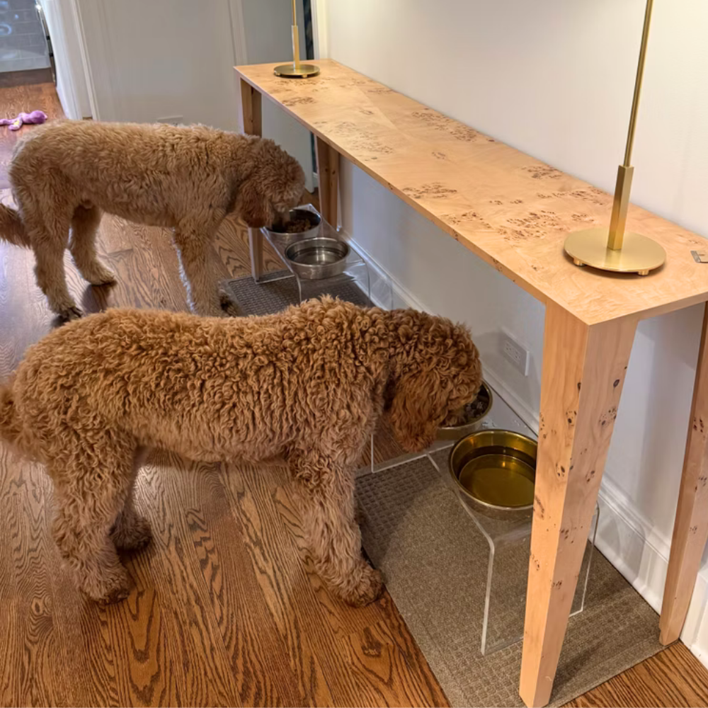 Tall Gold Double Feeder